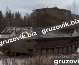 Грузопассажирский автомобиль МСГ 2 2019 года б/у фото 2