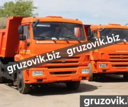 Самосвал Самосвал  Камаз 65115 2019 года новый фото 2