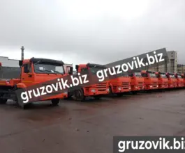 Мусоровоз Мусоровоз  Камаз 43255 2019 года новый фото 4