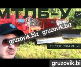 Грузопассажирский автомобиль МСГ 27 2019 года б/у