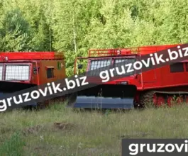 Грузопассажирский автомобиль МСГ 27 2019 года б/у фото 2
