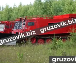 Грузопассажирский автомобиль МСГ 27 2019 года б/у фото 3