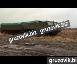 Грузопассажирский автомобиль Витязь дт-10п 2019 года б/у