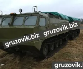Грузопассажирский автомобиль Витязь дт-10п 2019 года б/у фото 2