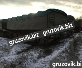 Грузопассажирский автомобиль Витязь дт-10п 2019 года б/у фото 3