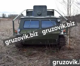 Грузопассажирский автомобиль ГАЗ 73 2019 года б/у фото 2