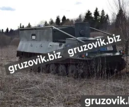 Грузопассажирский автомобиль ГАЗ 73 2019 года б/у фото 3