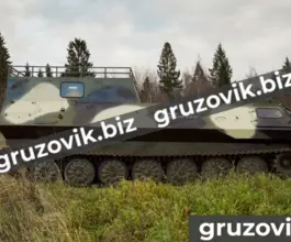 Грузопассажирский автомобиль МСГ 2 2019 года б/у фото 5