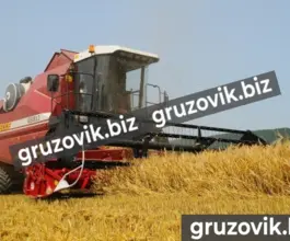 Комбайн ПАЛЕССЕ GS812 2019 года новый
