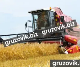 Комбайн ПАЛЕССЕ GS812 2019 года новый фото 3