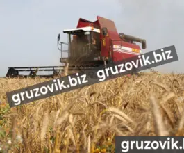 Комбайн кзс-1218 палессе GS12 2019 года новый