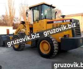 Фронтальный погрузчик MegaMax GL 300H 2020 года новый фото 4