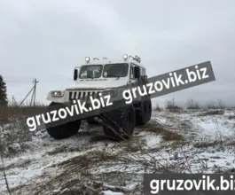 Грузопассажирский автомобиль ТРЕКОЛ 39294 2020 года новый фото 2