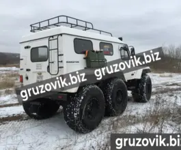 Грузопассажирский автомобиль ТРЕКОЛ 39294 2020 года новый фото 5