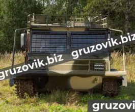 Грузопассажирский автомобиль МСГ 27 2019 года б/у фото 5