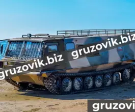 Грузопассажирский автомобиль МСГ 27 2019 года б/у фото 2