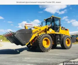 Фронтальный погрузчик Frontal 250 2019 года б/у