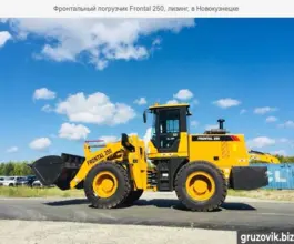 Фронтальный погрузчик Frontal 250 2019 года б/у